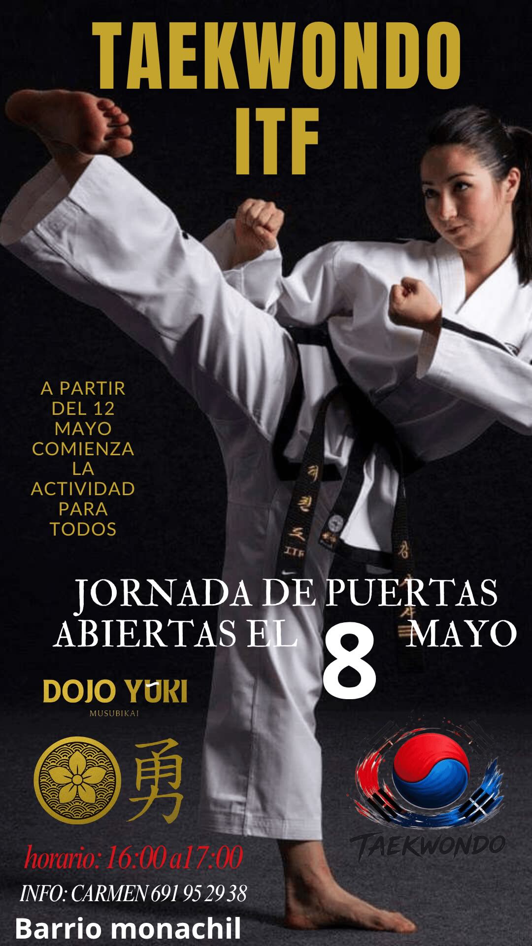 TAEKWONDO ITF TAEKWONDO ITF